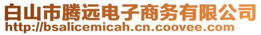 白山市騰遠(yuǎn)電子商務(wù)有限公司