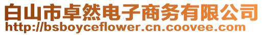 白山市卓然電子商務有限公司