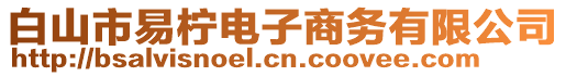 白山市易檸電子商務有限公司