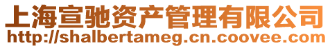 上海宣馳資產(chǎn)管理有限公司