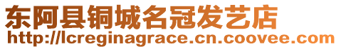 東阿縣銅城名冠發(fā)藝店