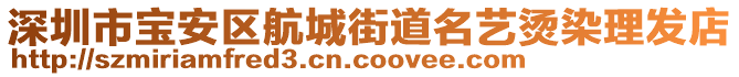 深圳市寶安區航城街道名藝燙染理發店