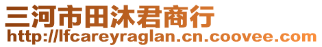 三河市田沐君商行