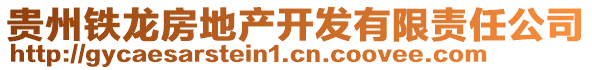 貴州鐵龍房地產開發有限責任公司