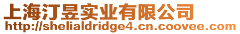上海汀昱實業有限公司