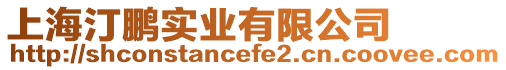 上海汀鵬實業有限公司