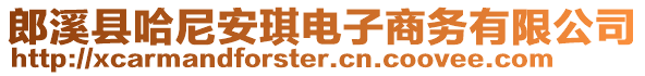 郎溪縣哈尼安琪電子商務(wù)有限公司