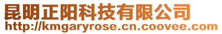 昆明正陽科技有限公司