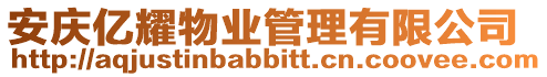 安慶億耀物業(yè)管理有限公司