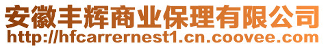 安徽豐輝商業保理有限公司