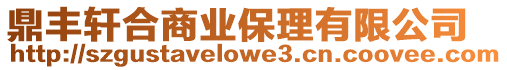鼎豐軒合商業保理有限公司