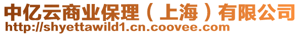 中億云商業保理（上海）有限公司