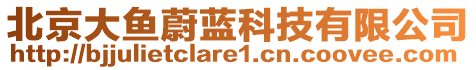 北京大魚蔚藍科技有限公司