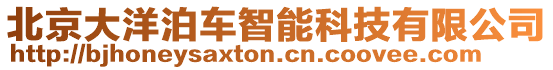 北京大洋泊車智能科技有限公司