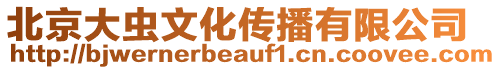 北京大蟲文化傳播有限公司