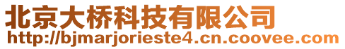 北京大橋科技有限公司