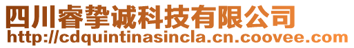 四川睿摯誠科技有限公司