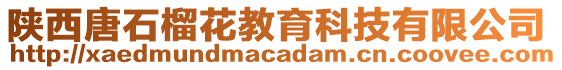 陜西唐石榴花教育科技有限公司