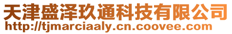 天津盛澤玖通科技有限公司