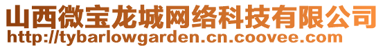 山西微寶龍城網(wǎng)絡科技有限公司