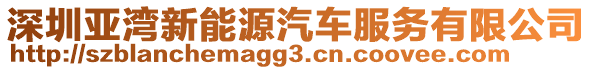 深圳亞灣新能源汽車服務(wù)有限公司