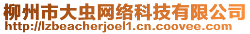 柳州市大蟲(chóng)網(wǎng)絡(luò)科技有限公司