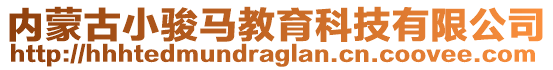 內蒙古小駿馬教育科技有限公司