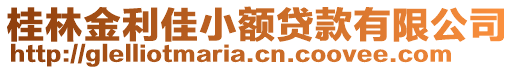 桂林金利佳小額貸款有限公司