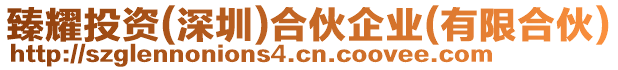 臻耀投資(深圳)合伙企業(yè)(有限合伙)