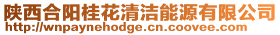 陜西合陽桂花清潔能源有限公司