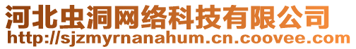 河北蟲洞網(wǎng)絡(luò)科技有限公司