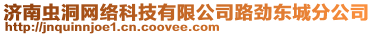 濟(jì)南蟲洞網(wǎng)絡(luò)科技有限公司路勁東城分公司