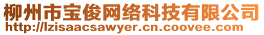 柳州市寶俊網絡科技有限公司