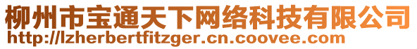 柳州市寶通天下網(wǎng)絡(luò)科技有限公司