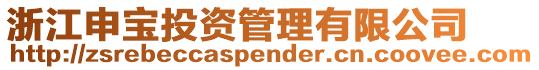浙江申寶投資管理有限公司