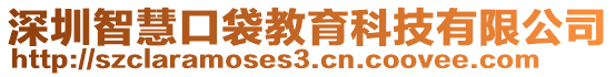 深圳智慧口袋教育科技有限公司