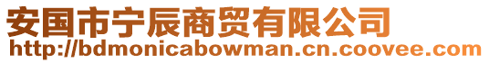 安國市寧辰商貿有限公司
