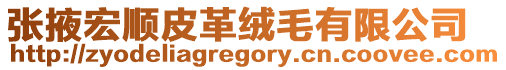 張掖宏順皮革絨毛有限公司