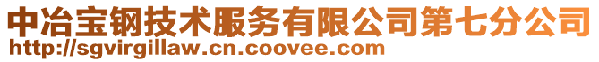 中冶寶鋼技術服務有限公司第七分公司