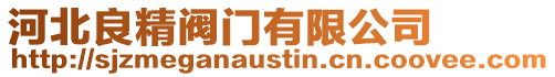 河北良精閥門有限公司