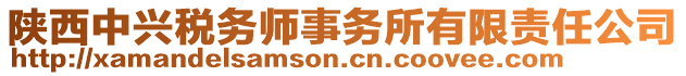 陜西中興稅務師事務所有限責任公司