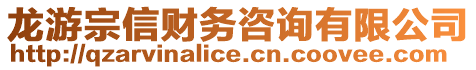 龍游宗信財務(wù)咨詢有限公司