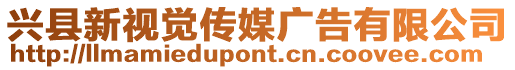 興縣新視覺(jué)傳媒廣告有限公司