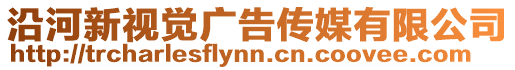 沿河新視覺廣告?zhèn)髅接邢薰? style=