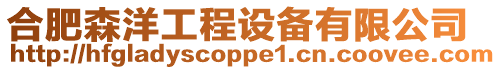 合肥森洋工程設備有限公司