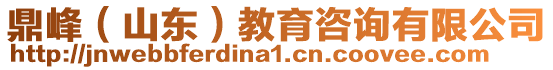 鼎峰（山東）教育咨詢有限公司