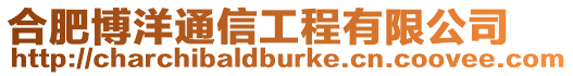 合肥博洋通信工程有限公司