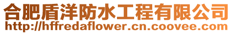合肥盾洋防水工程有限公司