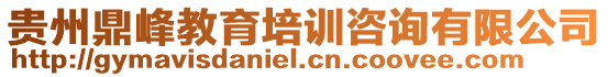 貴州鼎峰教育培訓咨詢有限公司