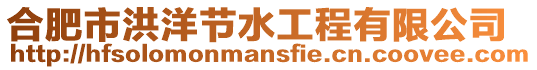合肥市洪洋節水工程有限公司